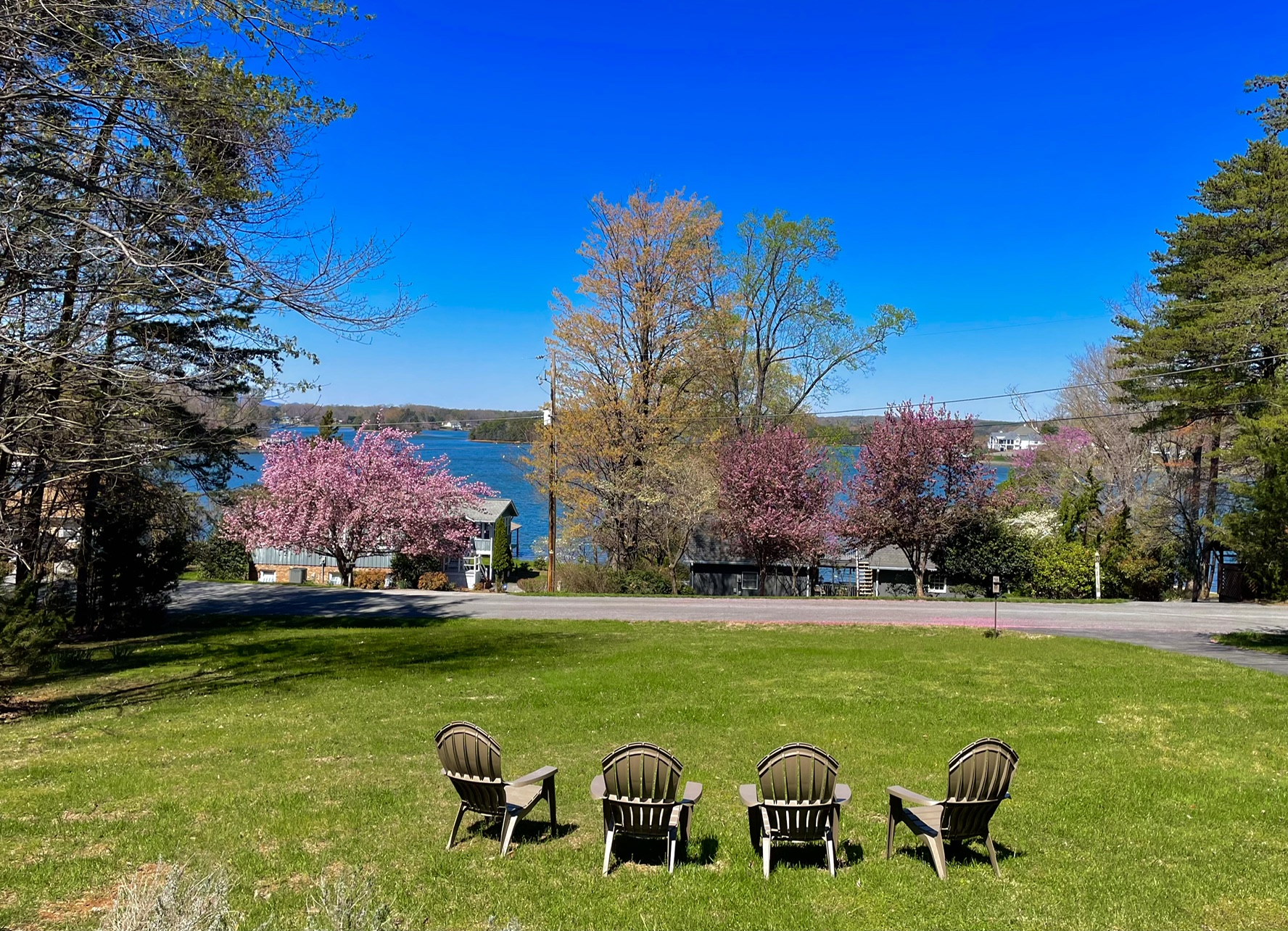 Year-Round Lake Views